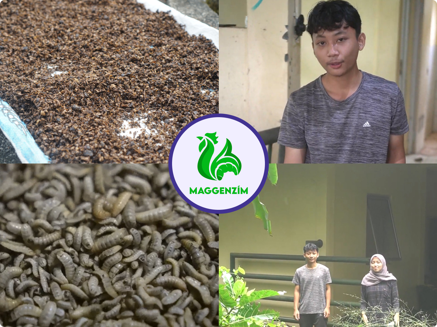 Maggenzim Toko Pinjam